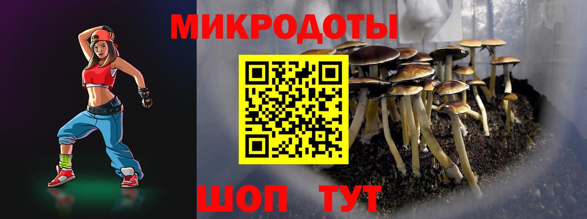 Псилоцибиновые грибы мухоморы  Вход с VPN  Ачхой-Мартан  Псилоцибиновые грибы прущие грибы 